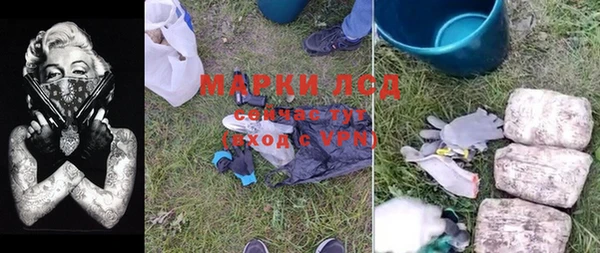 ПСИЛОЦИБИНОВЫЕ ГРИБЫ Магас
