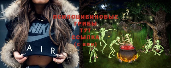 ПСИЛОЦИБИНОВЫЕ ГРИБЫ Магас
