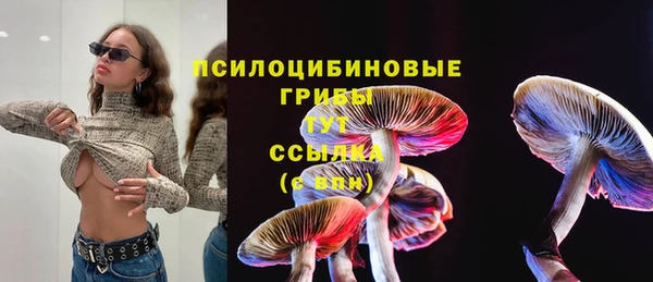 индика Осинники