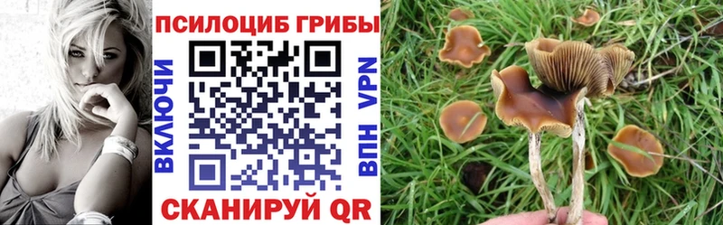 где найти наркотики  Псков  Галлюциногенные грибы Magic Shrooms 