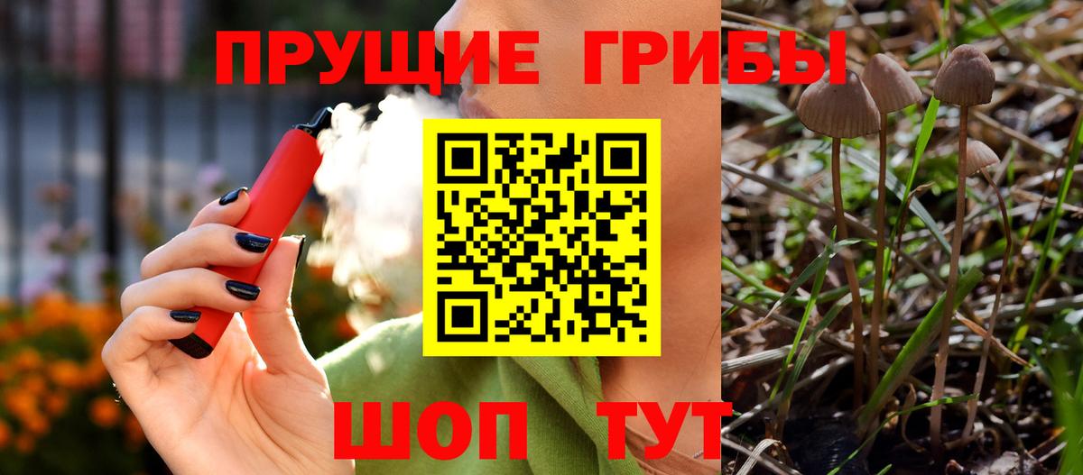 Галлюциногенные грибы Cubensis Псков