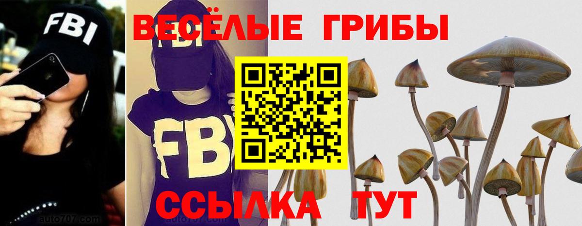Псков  Псилоцибиновые грибы MAGIC MUSHROOMS  Вход с VPN 